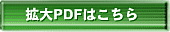 gPDF͂