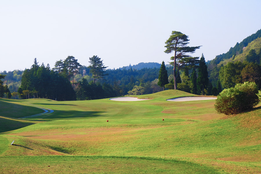 コムウッドゴルフクラブOUTコースHOLE6の写真