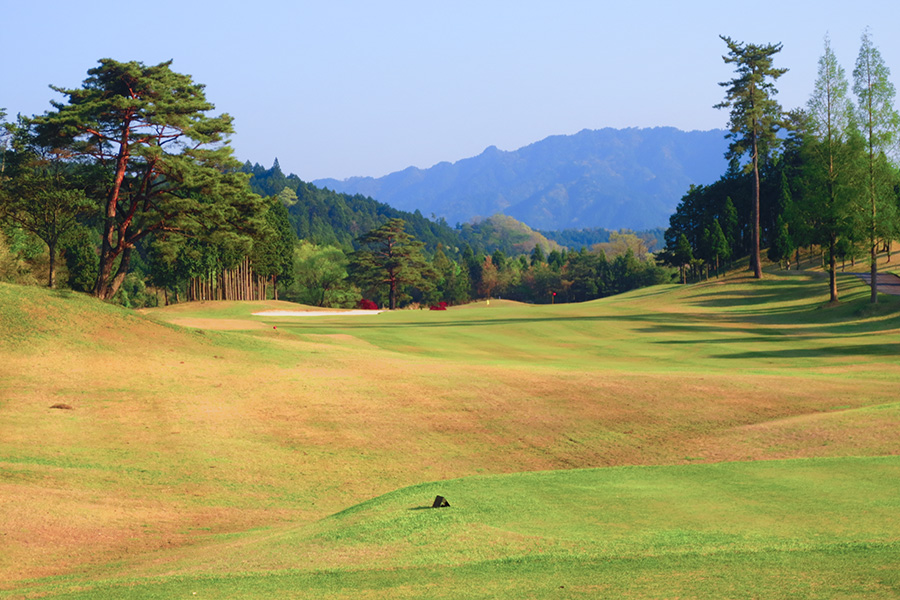 コムウッドゴルフクラブOUTコースHOLE7の写真