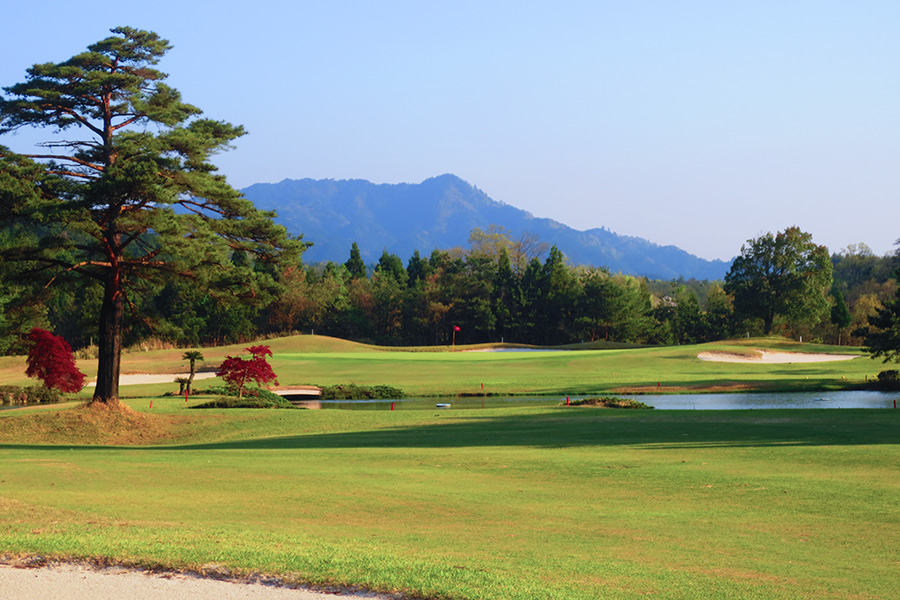 コムウッドゴルフクラブOUTコースHOLE7の写真