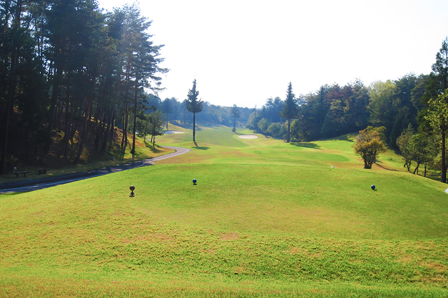 コムウッドゴルフクラブINコースHOLE10の写真