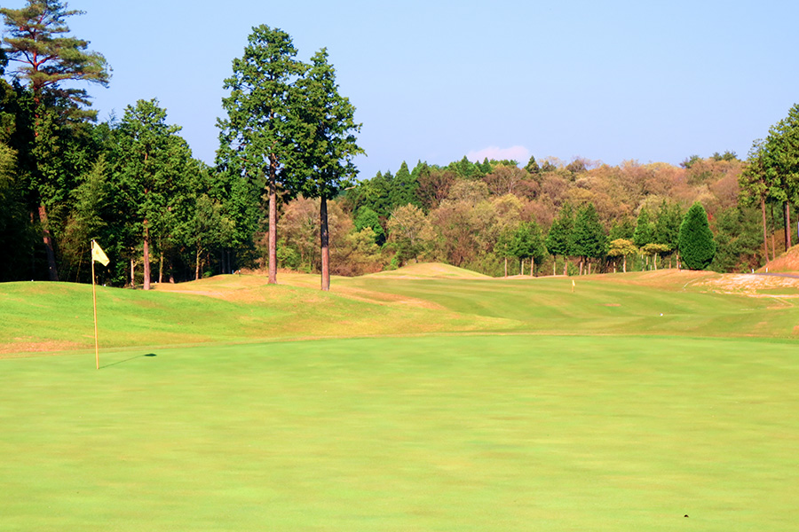コムウッドゴルフクラブINコースHOLE11の写真