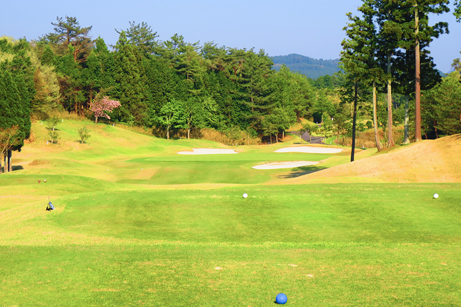 コムウッドゴルフクラブINコースHOLE12の写真
