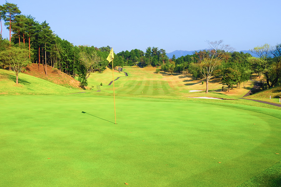 コムウッドゴルフクラブINコースHOLE14の写真
