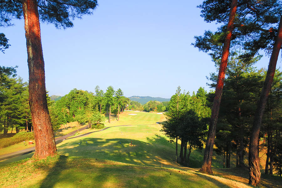 コムウッドゴルフクラブINコースHOLE15の写真