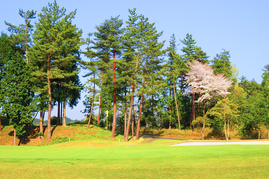 コムウッドゴルフクラブINコースHOLE15の写真