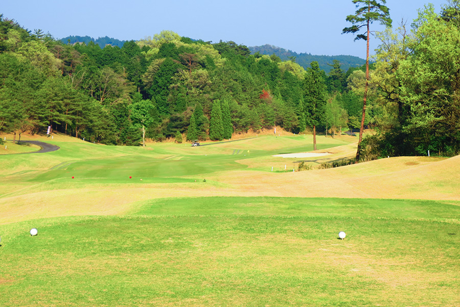 コムウッドゴルフクラブINコースHOLE17の写真