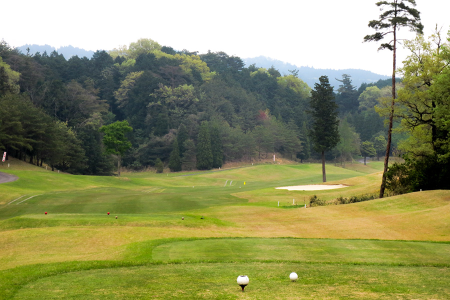コムウッドゴルフクラブINコースHOLE17の写真