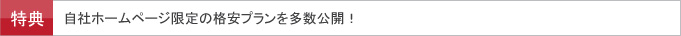 自社ホームページ限定の格安プランを多数公開中!