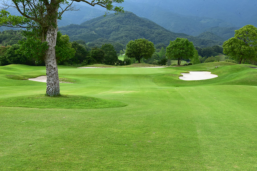 シプレカントリークラブOUTコースHOLE1の写真