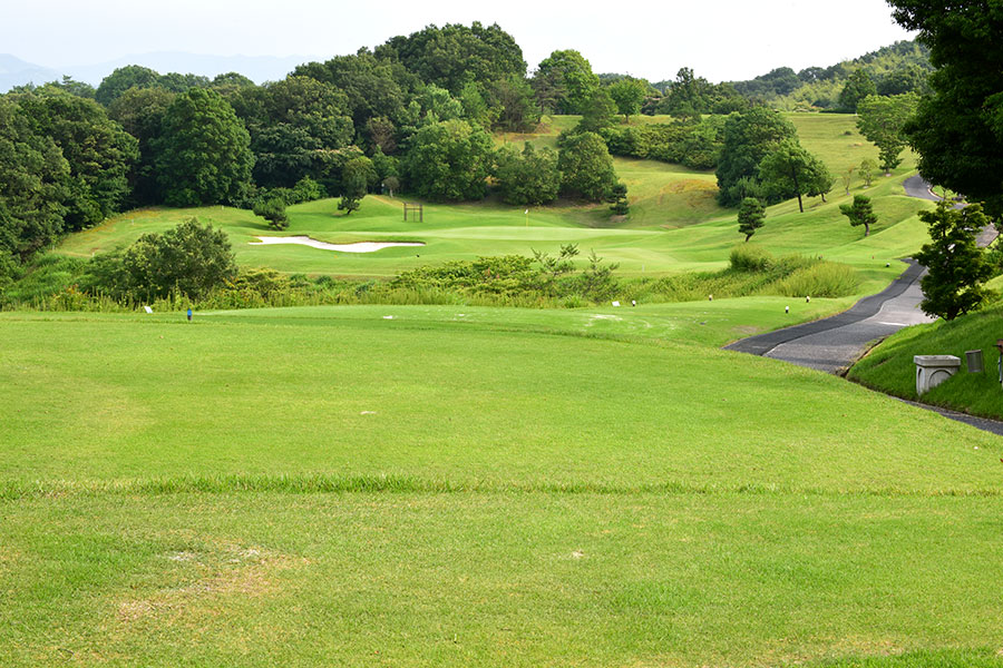 シプレカントリークラブINコースHOLE11の写真