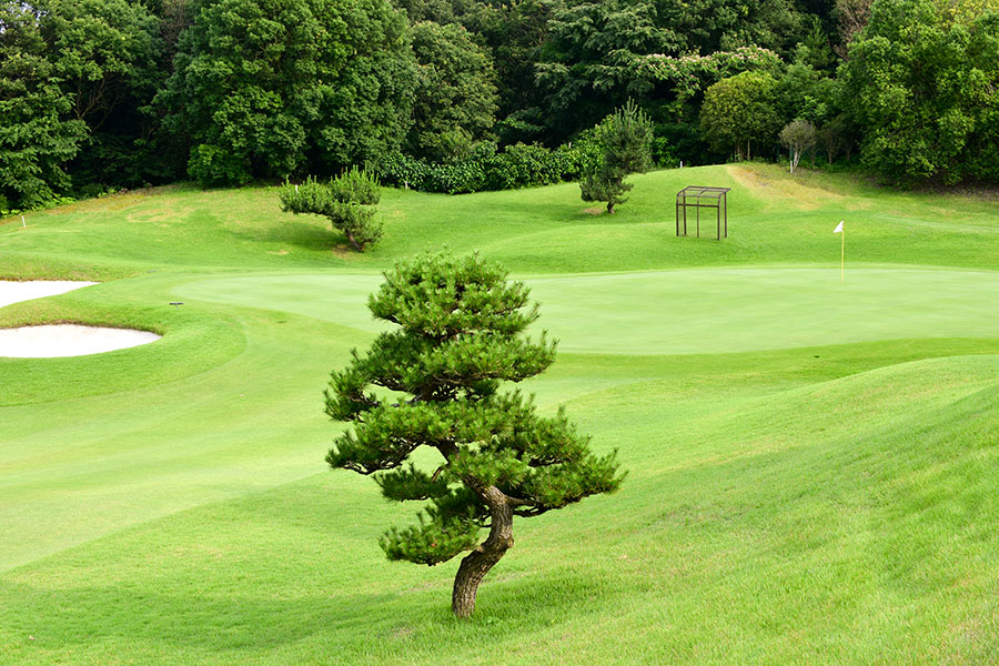 シプレカントリークラブINコースHOLE11の写真