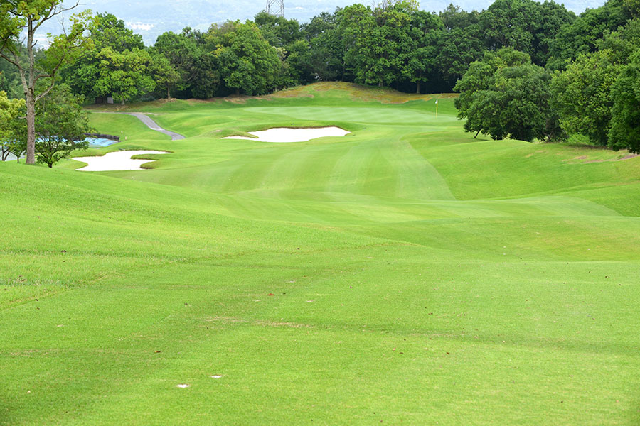 シプレカントリークラブINコースHOLE12の写真