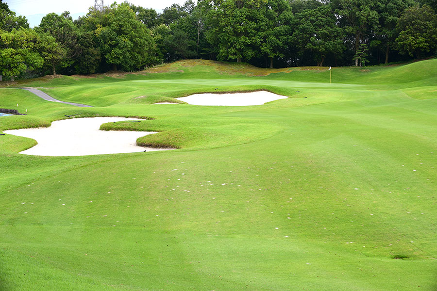 シプレカントリークラブINコースHOLE12の写真