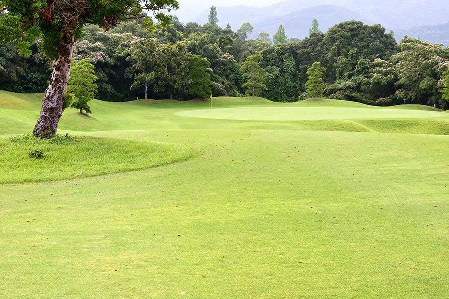 シプレカントリークラブINコースHOLE13の写真