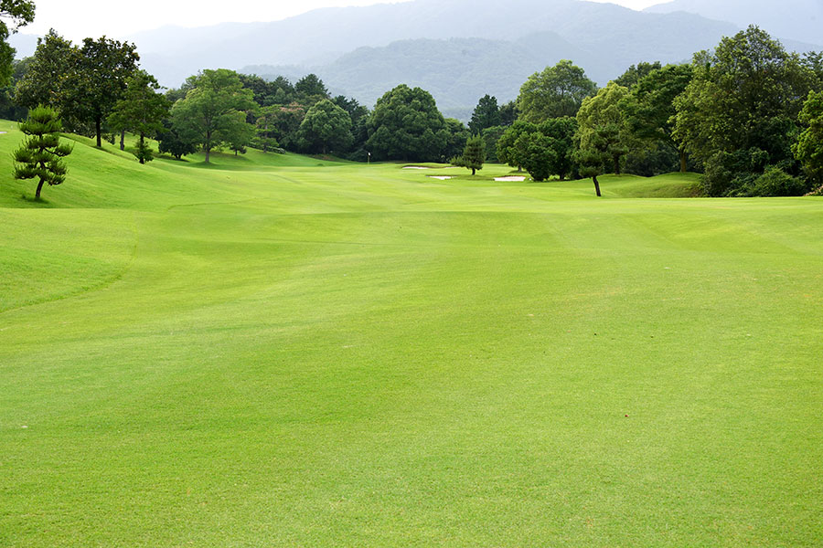 シプレカントリークラブINコースHOLE16の写真