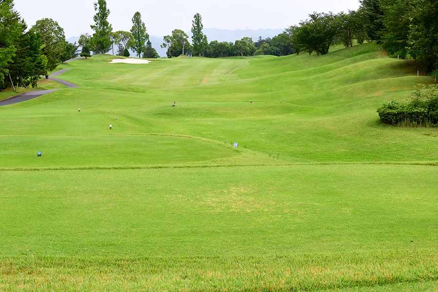 シプレカントリークラブINコースHOLE18の写真
