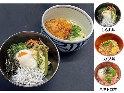 選べるミニ丼セット